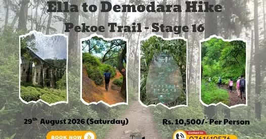 Ella to Demodara Hike