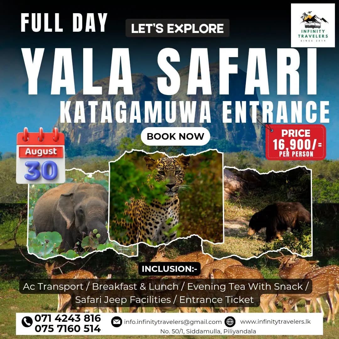 Yala Full Day Safari Tour 2026