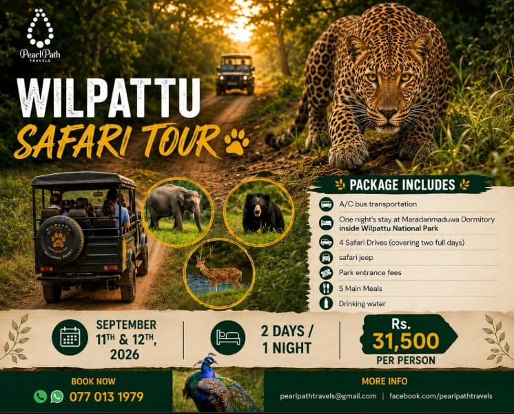 Willpattu Safari Tour